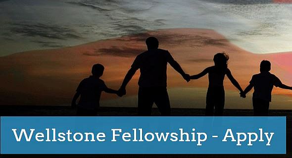 Wellstone Fellowship for Social Justice