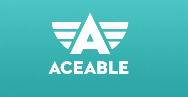 Aceable Ace Driver Scholarship