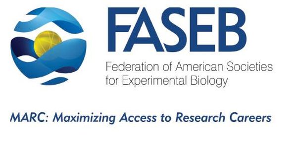 FASEB Fifth Annual BioArt Competition