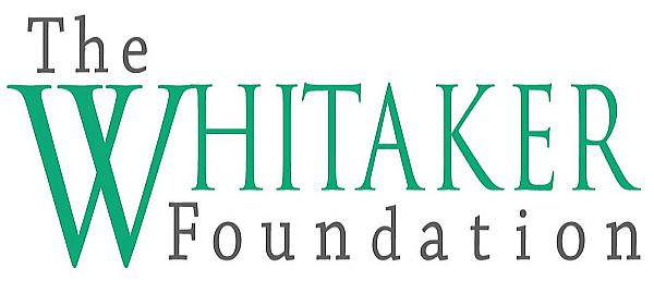 Whitaker International Fellows and Scholars Program