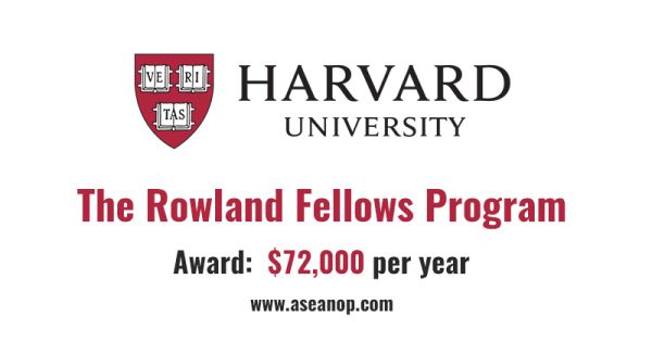 Rowland Junior Fellowship Program