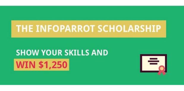 The Infoparrot Scholarship of Academic Excellence