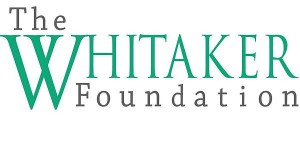 Whitaker Art Scholarship