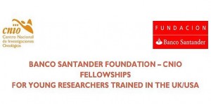 Banco Santander Foundation – Cnio Fellowship
