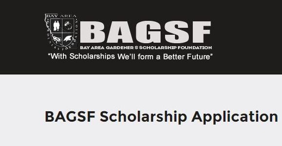 BAGSF Scholarship Application