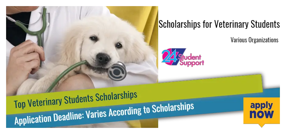 Scholarships for Veterinary Students