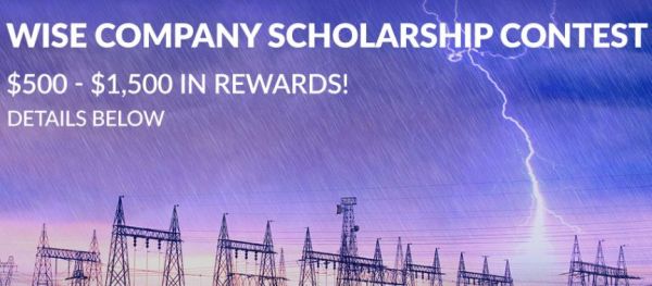 Wise Company Scholarship Program