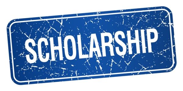 The Association of Former Intelligence Officers Scholarship