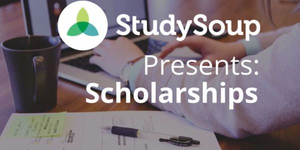 StudySoup Future Innovator Scholarship Program