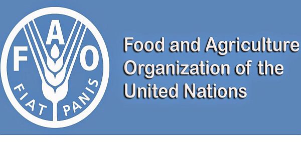 FAO World Food Day Contest