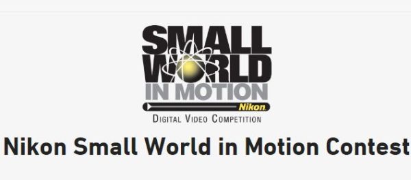 The Nikon International Small World Competition