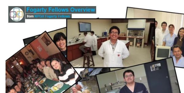 The Global Health Fellowship Program