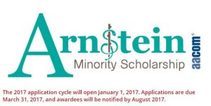 Sherry R. Arnstein Minority Student Scholarship