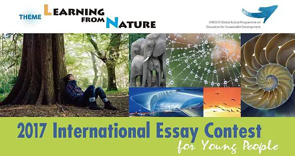 Goi Peace Foundation International Essay Contest for Young People