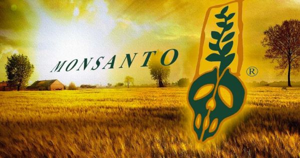 Monsanto Graduate Student Scholarship