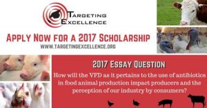 Targeting Excellence Inc. Scholarships