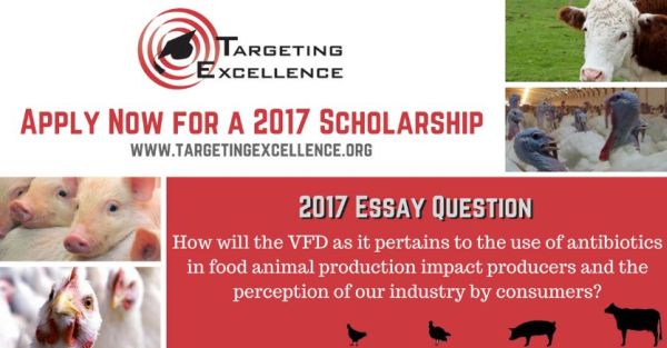 Targeting Excellence Inc. Scholarships