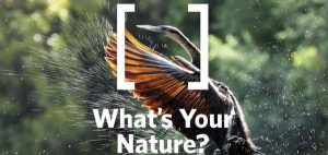 Nature Conservancy Digital Photo Contest