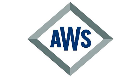 AWS Fellowship Program